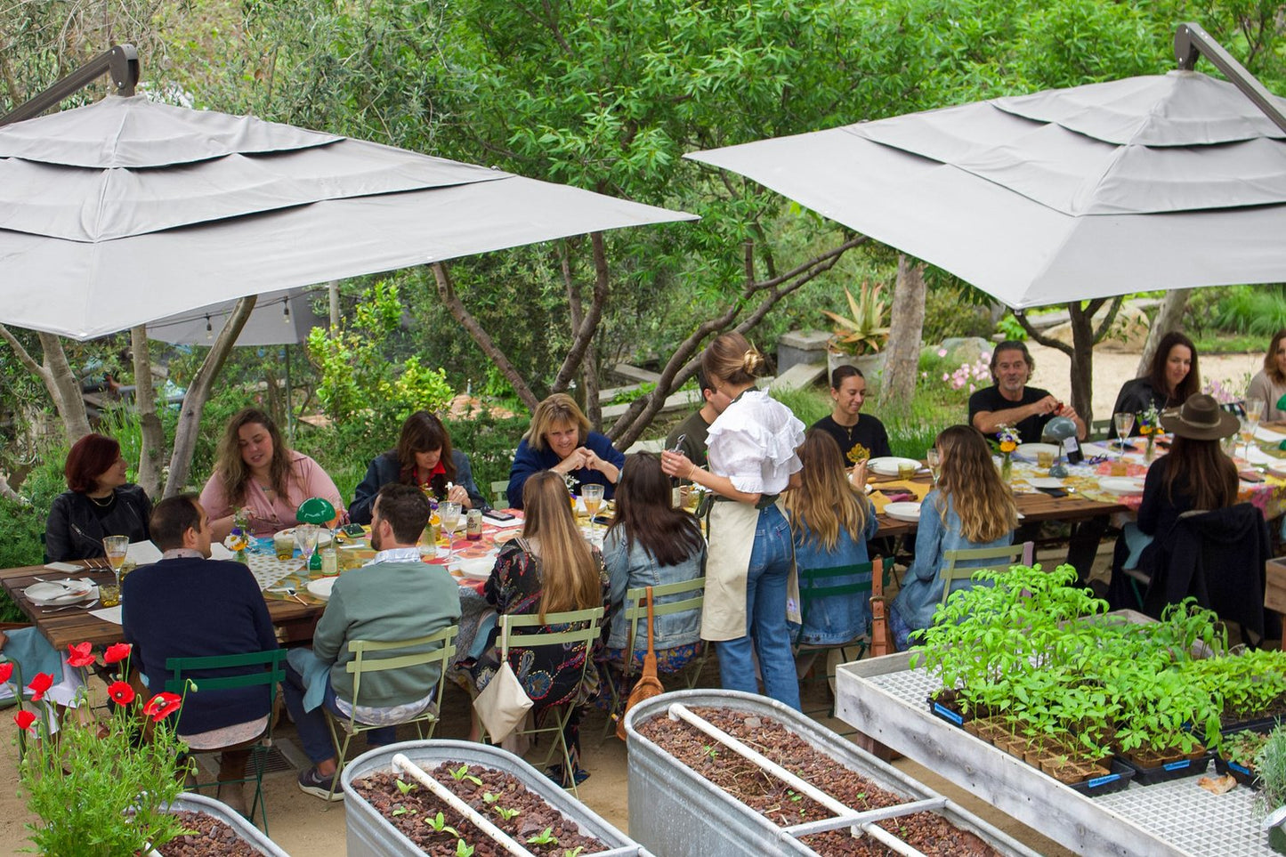 Harvest Harmony at Bluebird Canyon Farms