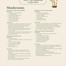 September Seasonal Produce & Recipe Guide
