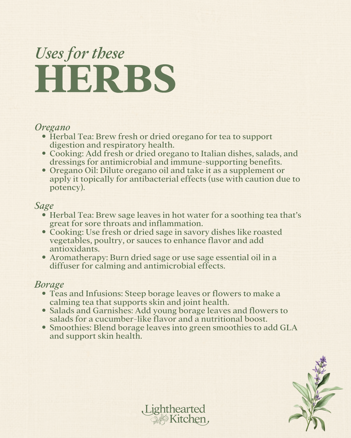 November Seasonal Herbs Guide