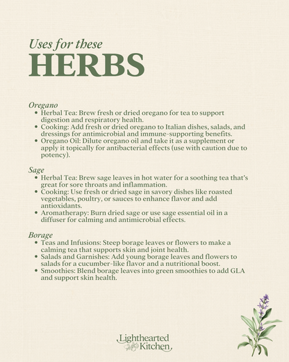 November Seasonal Herbs Guide